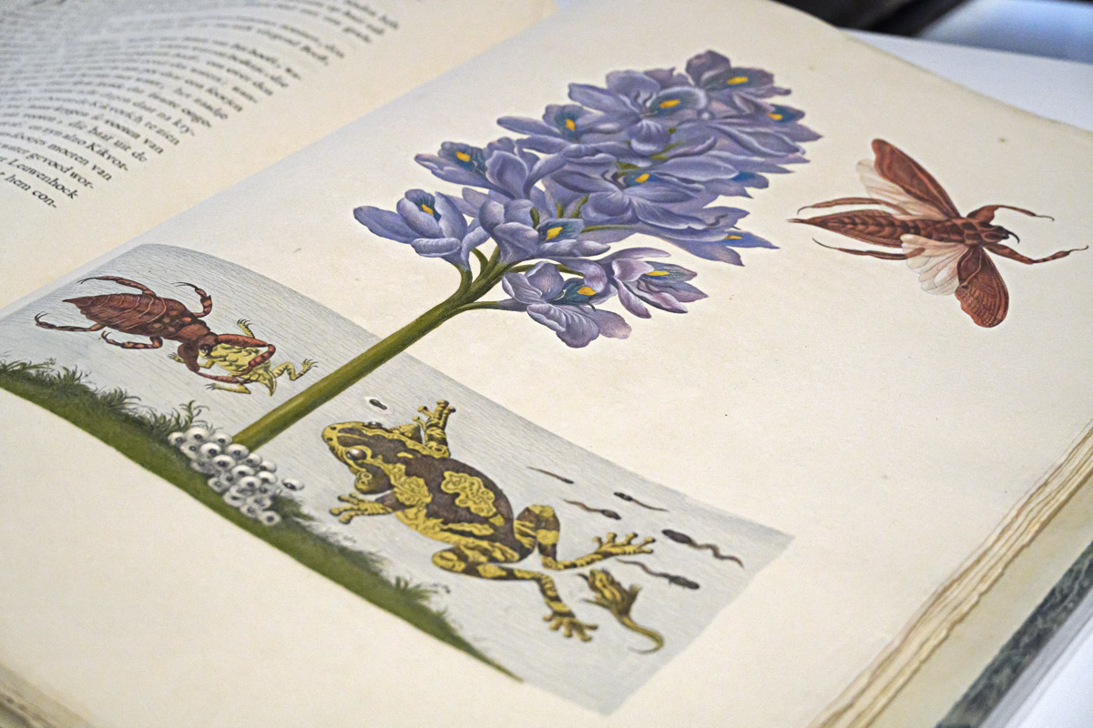 An image of a book in the Penn Libraries' collections depicting flora and fauna.