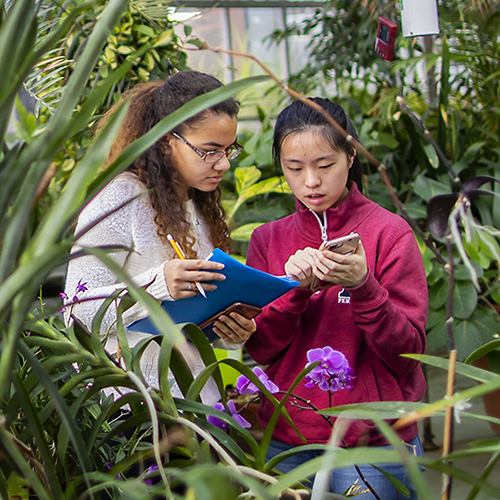 students in plant lab