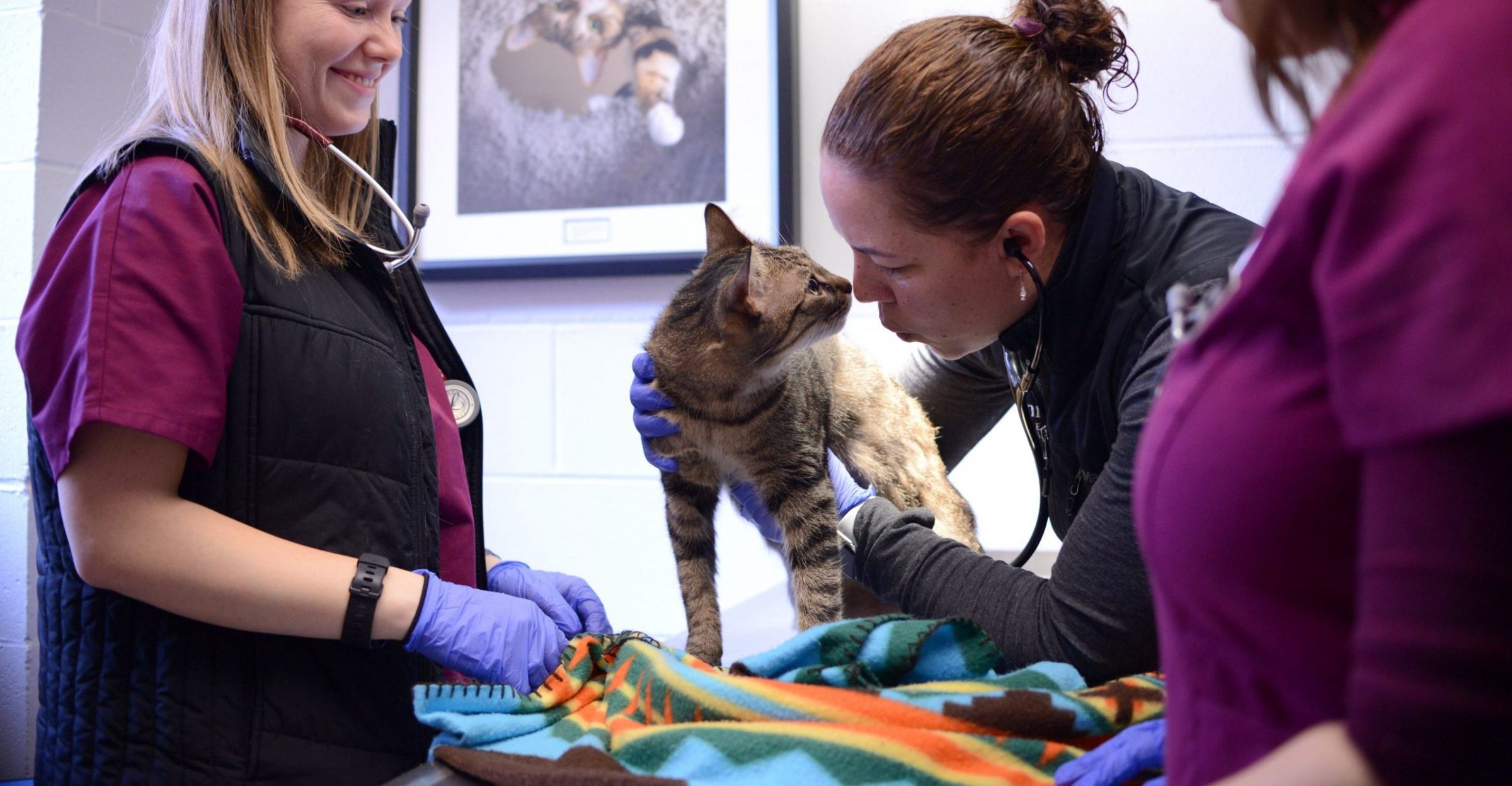 Penn Vet students with cat