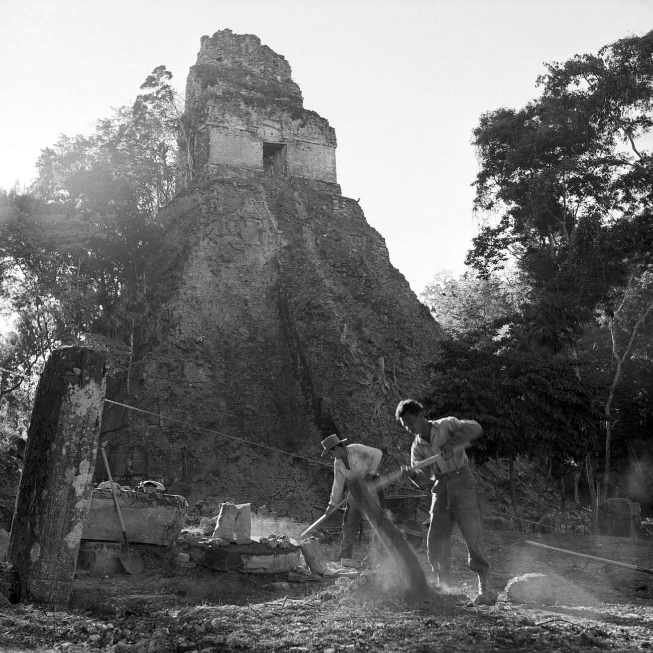 two men Digging in front of a Maya temple (Temple 1) at Tikal in 1958. Photo courtesy of the Museum Archives.