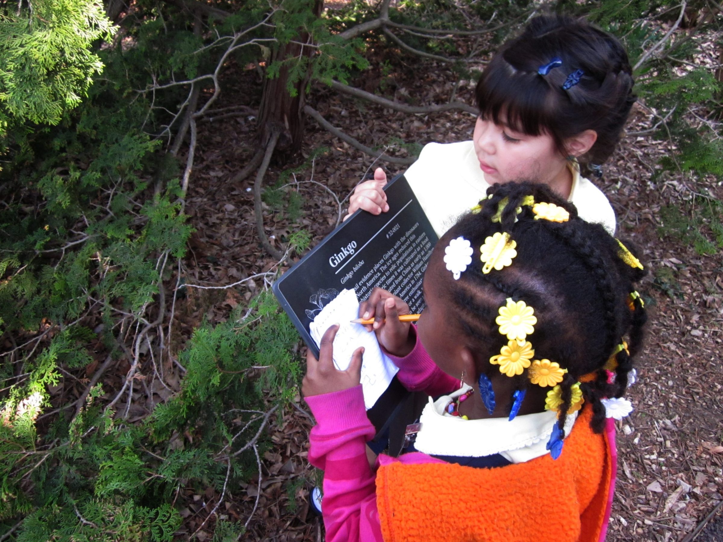 children looking at plants