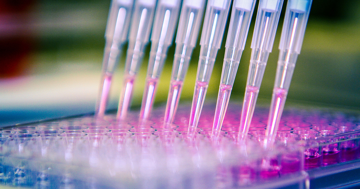 An image depicting high throughput screening.