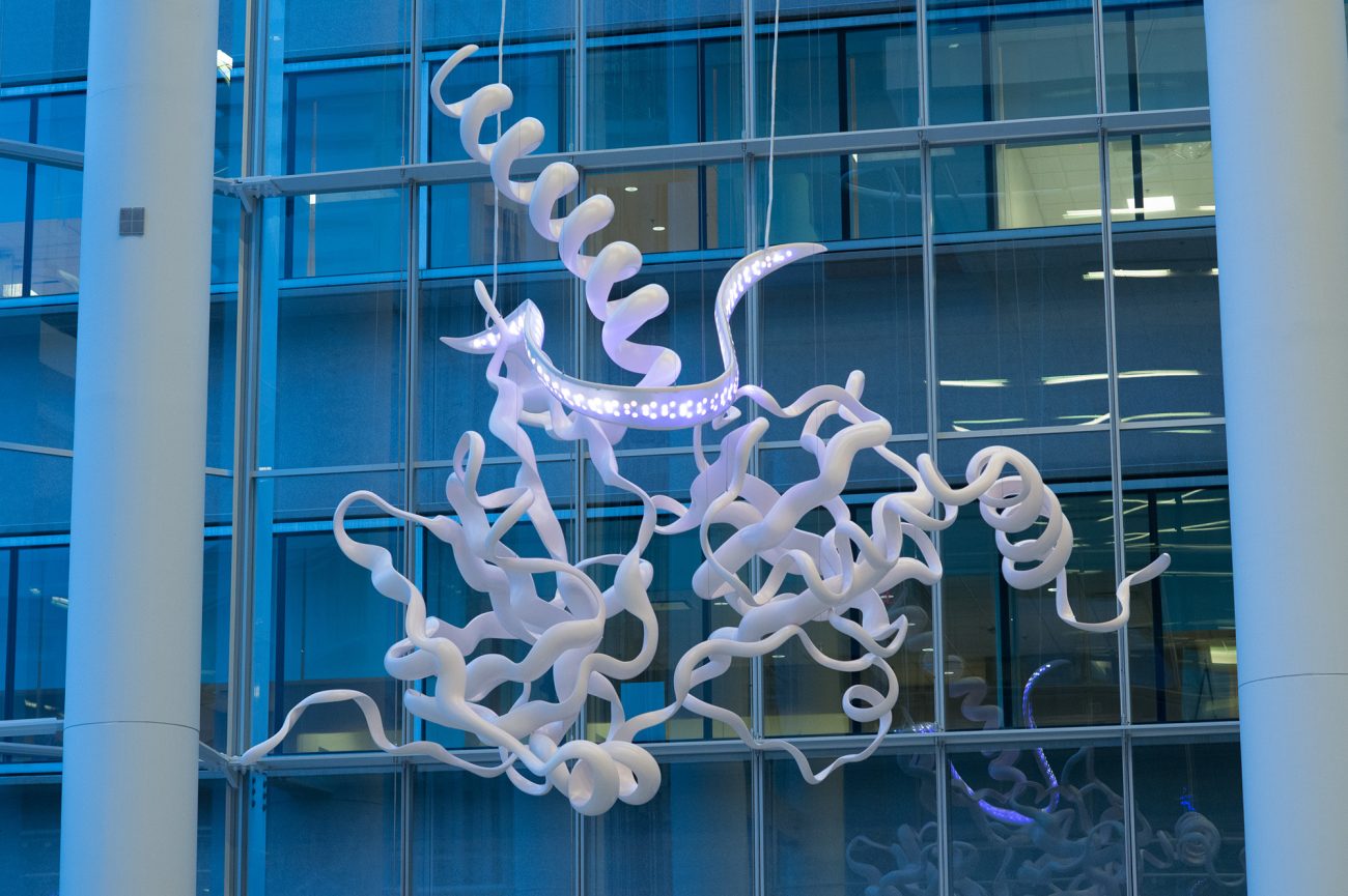 The Homologous Hope sculpture—which --illustrates how a healthy cell repairs DNA that causes breast, ovarian, and pancreatic cancers—was created for the Basser Center for BRCA. The sculpture celebrates the hope that the Basser Research Center—the first and only comprehensive BRCA-focused center of its kind—is giving to countless families and their loved ones through breakthroughs such as the development of olaparib, which reduces the risk of recurrence for high-risk patients with early-stage BRCA-related breast cancer by 42% and also improved overall survival.