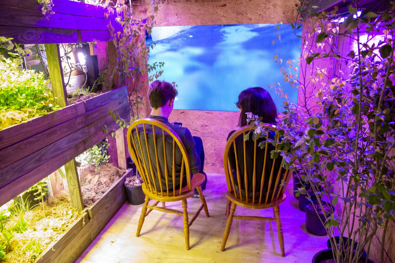 two people sitting in chairs with their backs facing the camera looking at a screen that looks like under water