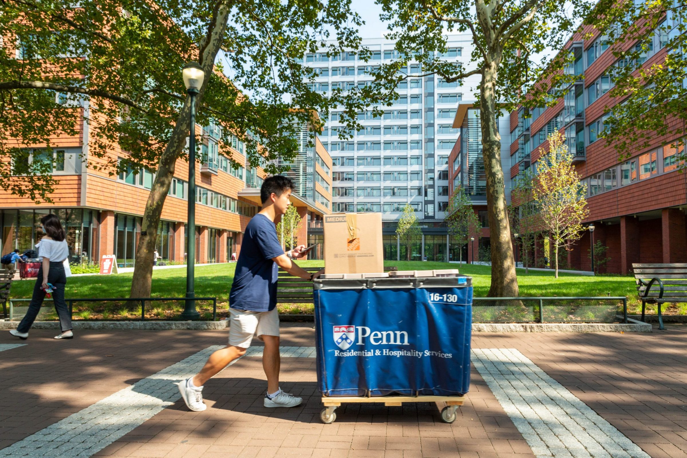 A student pushes a cart along Locust Walk during move-in
