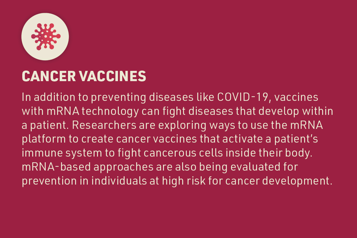 An informative graphic about cancer vaccines using mRNA technology. The background is a deep maroon color with a white circular icon at the top featuring a stylized red virus. The text explains that mRNA technology, which is used in vaccines for COVID-19, is also being explored to fight cancer by activating the immune system to target cancerous cells within a patient. It notes that mRNA-based approaches are being evaluated for cancer prevention in high-risk individuals.