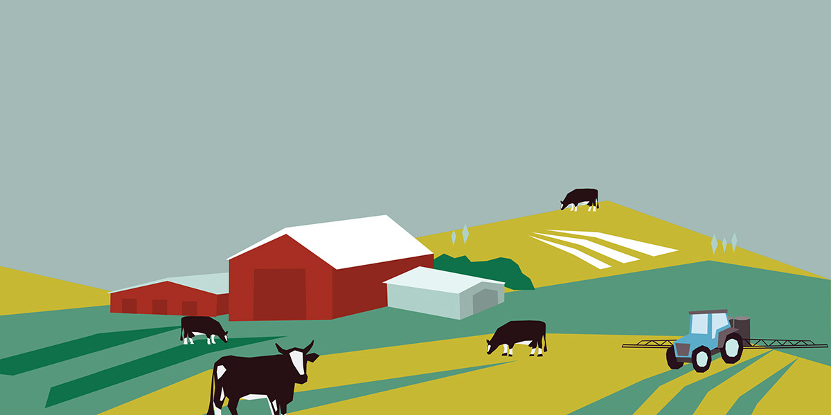 An illustration depicting livestock on a sustainable farm.