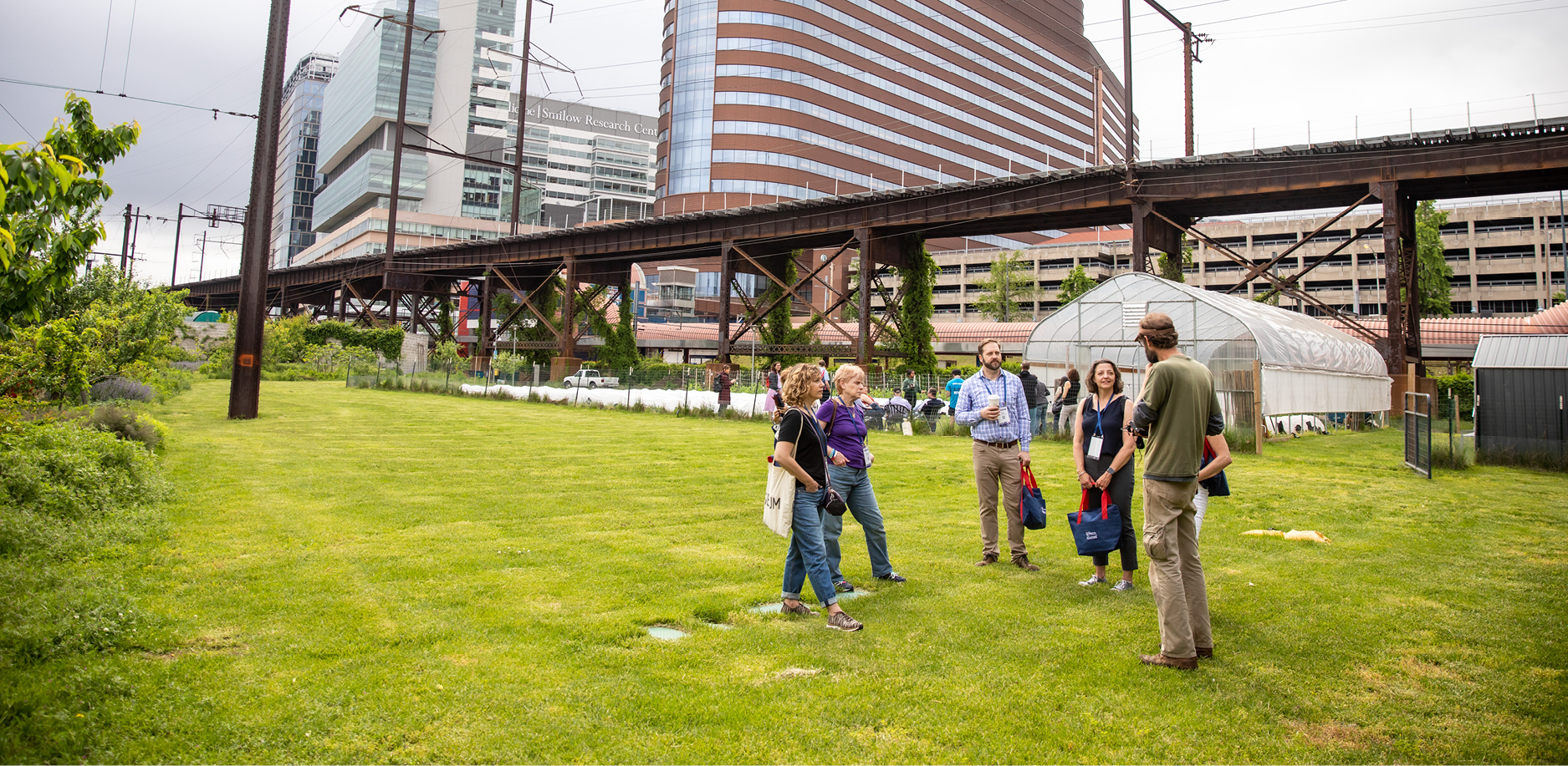 people gatherine outside