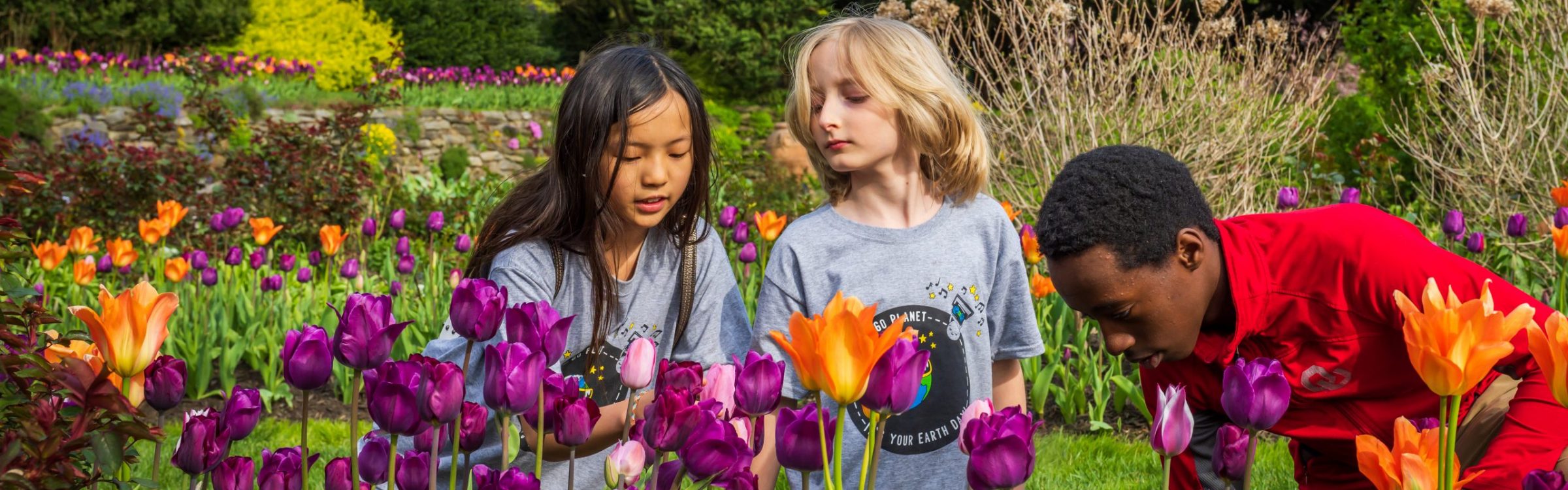 children sniffing tulips