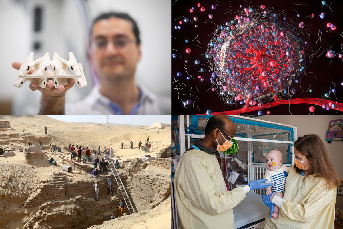 Four-panel collage featuring engineering, medicine, archaeology, and biomedical visualization.