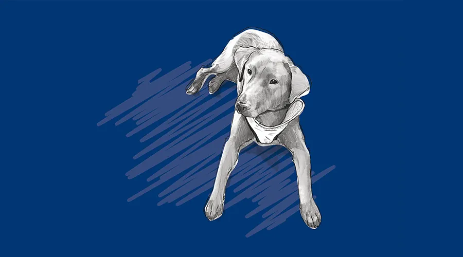 Illustrated dog against a blue background, representing Penn Vet’s Working Dog Center