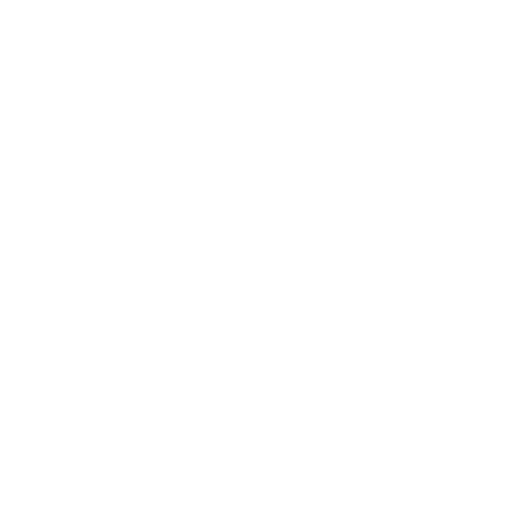 An icon of a ladder pointed upwards, representing elevation.