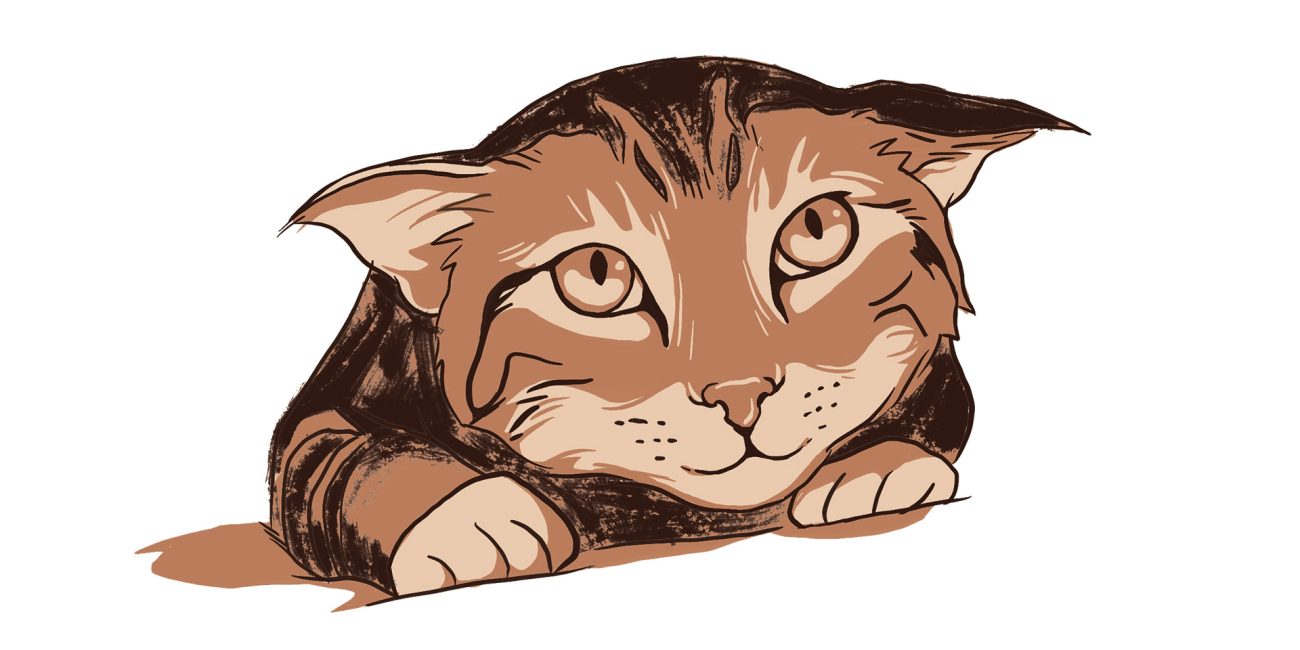Illustration of a charming brown tabby cat, with detailed strokes and a soft color palette, gazing curiously.