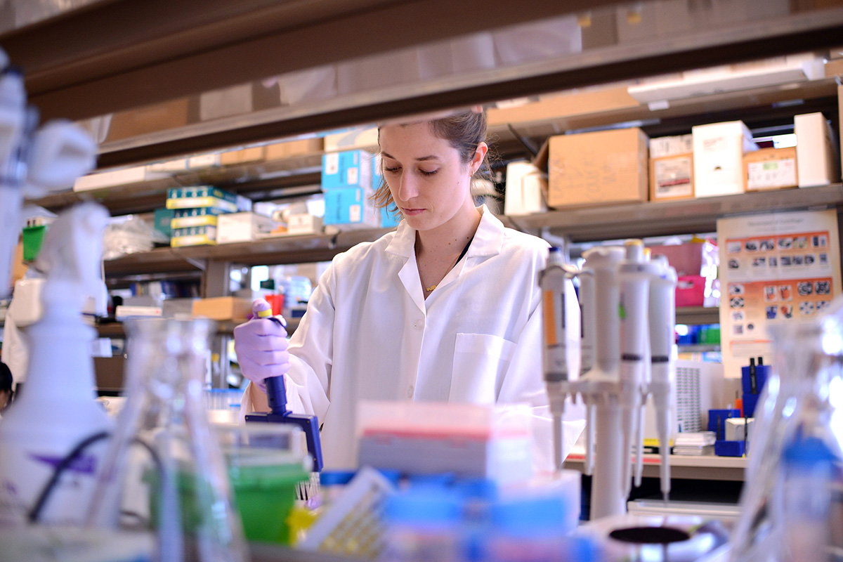A young female researcher focused on her work in a well-equipped laboratory. She is wearing a white lab coat and handling a pipette to transfer liquids between containers.