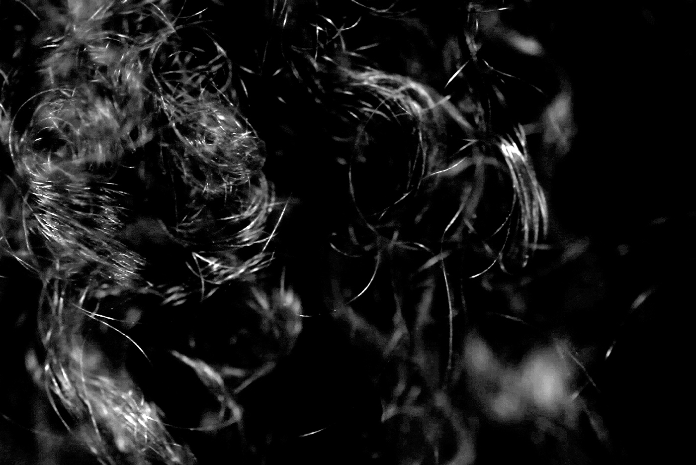 A still from Lorraine O'Grady's Landscape (Western Hemisphere) shows a black-and-white closeup of the artist's hair as it sways in the wind
