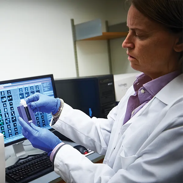A doctor wearing a white lab coat and blue gloves examines a sample in a laboratory.