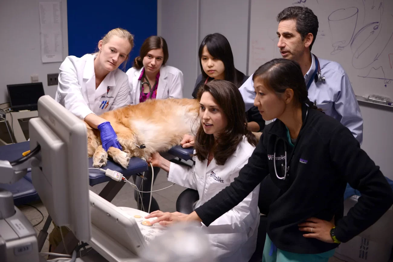 Graduate students and faculty conduct clinical training with a canine patient in a Penn Veterinary Medicine teaching setting.