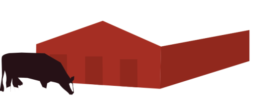 An illustration of a cow grazing in front of a barn.